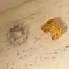 Wholesale Ion Plating (IP) Real Gold Plated 18K Gold Coral 304 Stainless Steel Simple Style Waterproof Non Tarnish Ear Cuffs