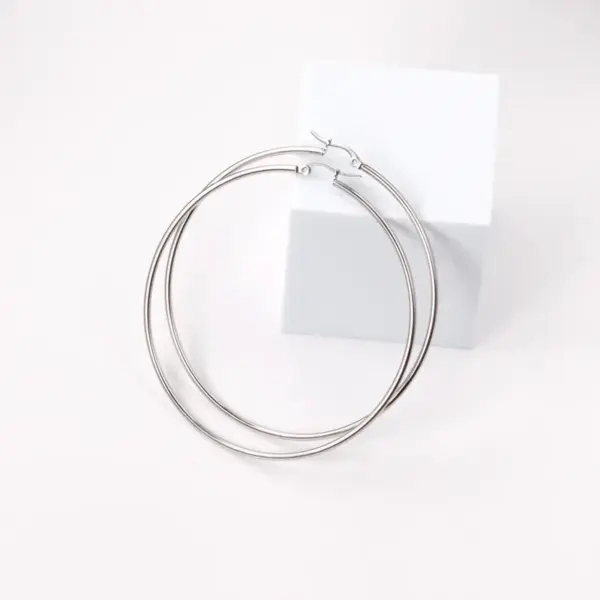 Fashion Circle Stainless Steel Plating Earrings 1 Pair