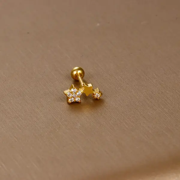 1 Piece Sweet Simple Style Flower Plating Inlay Titanium Steel Zircon Ear Studs