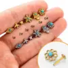 Wholesale 1 Piece Lip Rings Simple Style Commute Palm Snowflake 316L Stainless Steel Waterproof Non Tarnish Surgical Steel December Birthstone Turquoise Ion Plating (IP) 14K Gold Plated Lip Rings Ear Cartilage Rings & Studs