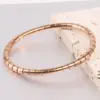 Wholesale Simple Style Solid Color Stainless Steel Plating Gold Plated Bangle