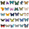 Wholesale 108 butterfly graffiti personalized cross-border insect Journal creative DIY skateboard water Cup luggage stickers waterproof