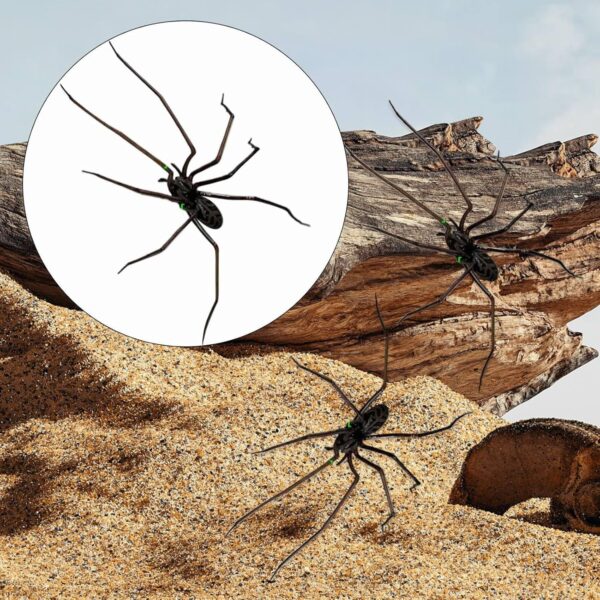 Wholesale Cross-border Amazon New 2025 Spider Fridge Magnets Home Spider Magnet Refrigerator