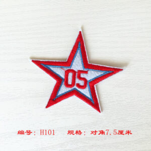 H101