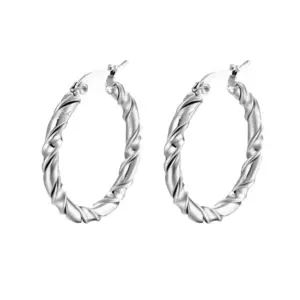 1 Twisted Earrings / Steel Color