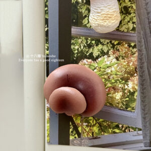 Flatter mushroom