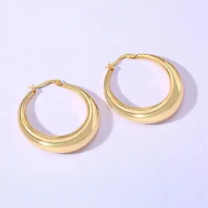 Wholesale 1 Pair Original Design Solid Color Spiral Stripe Plating Titanium Steel Hoop Earrings