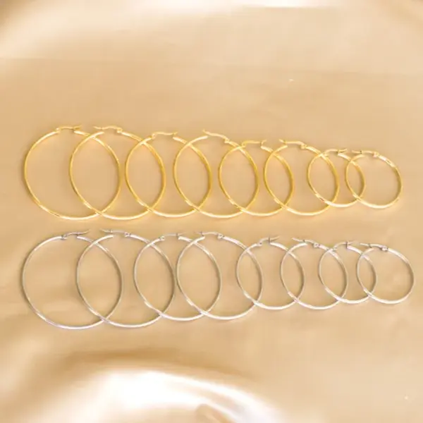 Fashion Circle Stainless Steel Plating Earrings 1 Pair