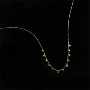 [H401] round Necklace / Gold