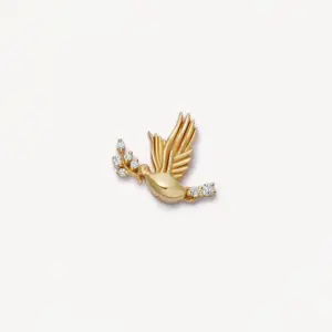 Little Golden Pigeon Accessories