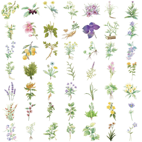 Wholesale 50 INS Chinese Medicine Plant Graffiti Stickers Decorative Guitar Notebook Luggage DIY Waterproof Cross-border