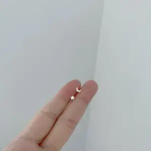 Mini Star and Moon Pair