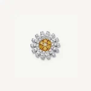 Little Daisy Accessories