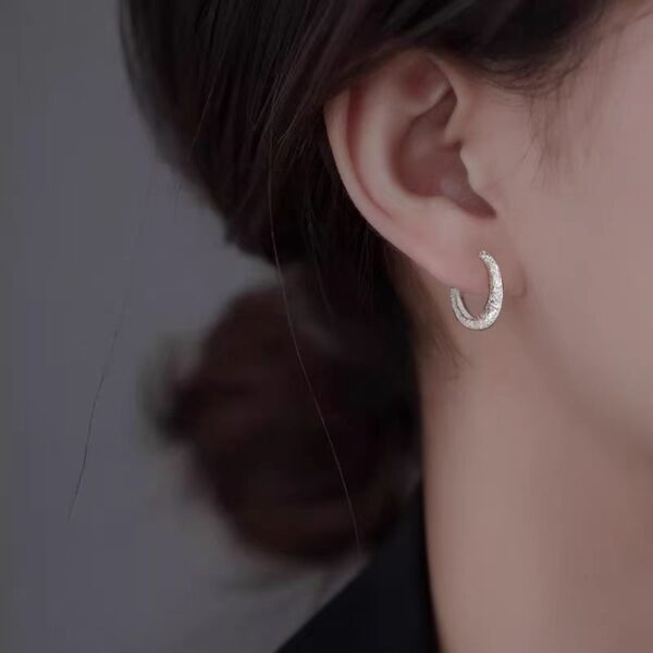 Wholesale Sparkling Earrings Women 2024 New Explosions Ear Buckle Niche Design Ear Ring Frosted Earrings