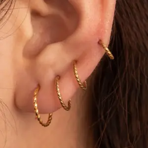 316 Stainless Steel Round Simple Style Earrings For Women's