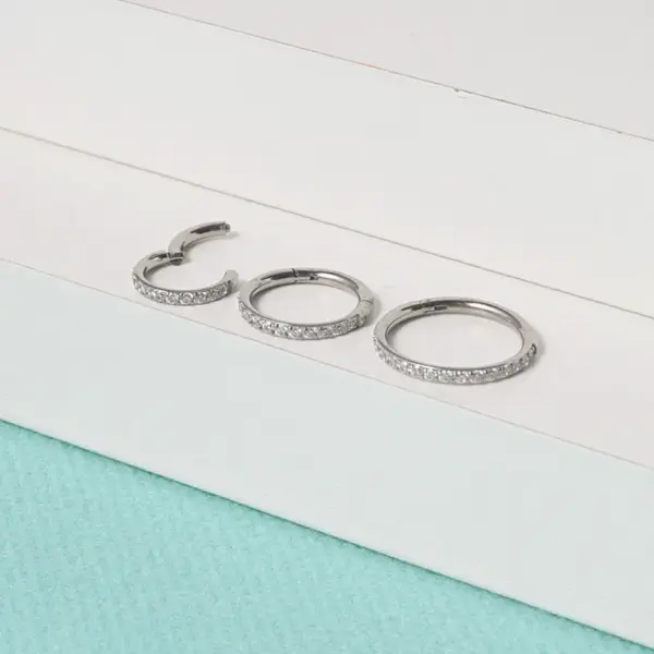 Wholesale 1 Piece Nose Rings & Studs Simple Style Round G23 Titanium Zircon Inlay Zircon Nose Pin