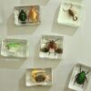 Wholesale Creative Real Insect Refrigerator Magnet Tourist Attractions Cultural and Creative Gift Souvenirs Cute Three-dimensional Magnetic Refrigerator Magnet