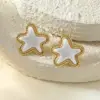 Wholesale Water Plated Imitation Gold Wind Heart/Butterfly/Flower/Geometric Earrings 304 Stainless Steel Three-Dimensional Stars