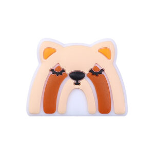 Rainbow bear