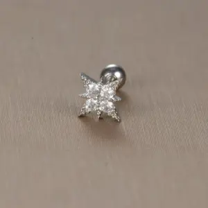 A- 10 Silver 1 Piece