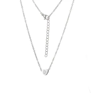 Steel Heart Necklace / D