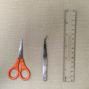 scissors tweezers ruler