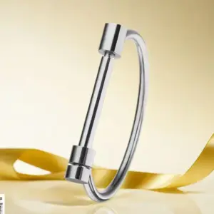 Steel Horseshoe Bracelet