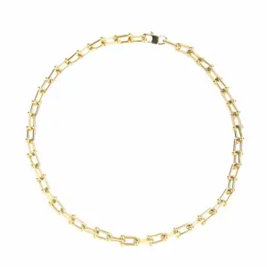 Gold Necklace (Chain Length 45cm)