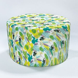 Woodpecker cactus (7.5cm)