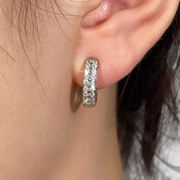 304 Stainless Steel Zircon Solid Color Hoop Earrings