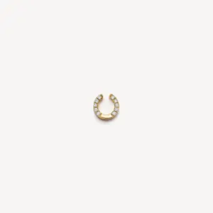 Horseshoe Accessories