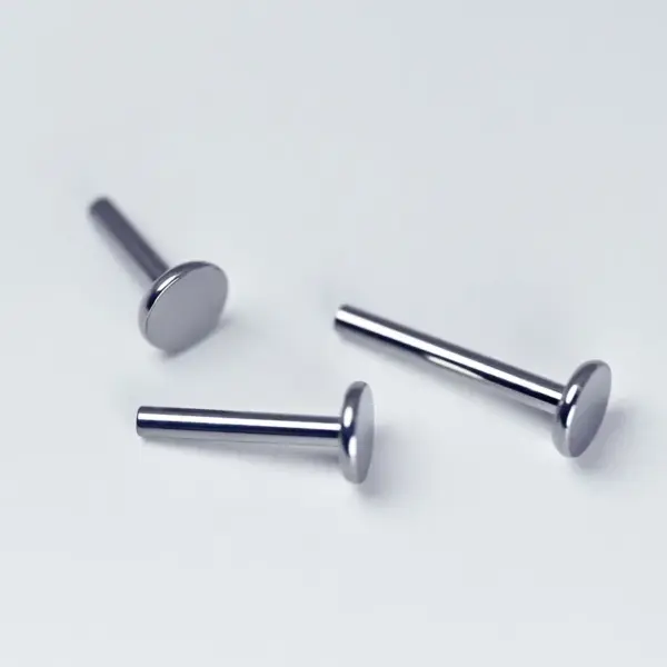 1 Piece Titanium Alloy Simple Style Lip Rings Solid Color Ion Plating (IP) Lip Rings Ear Cartilage Rings & Studs