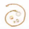 Wholesale Fashion Circle Stainless Steel Plating Zircon Earrings Necklace