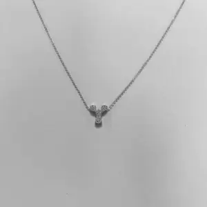 White gold color / Y