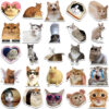 Wholesale 50PCS/PACK celebrity funny cat stickers