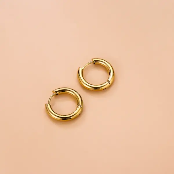 Wholesale Moon 304 Stainless Steel Stainless Steel Earrings