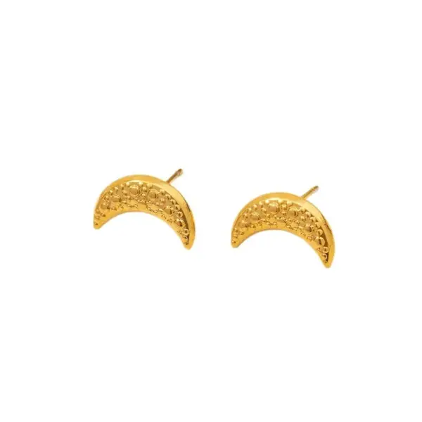 Wholesale Ion Plating (IP) Real Gold Plated 18K Gold Scallop Moon Cherry 304 Stainless Steel Basic Modern Style Classic Style Waterproof Non Tarnish Ear Studs