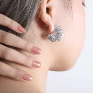 F897-F822-Steel Earrings