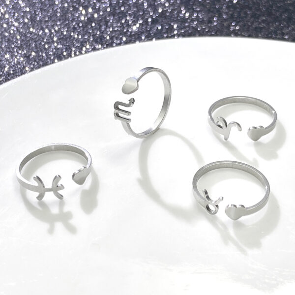 Wholesale Cross-border evergreen Simple twelve constellation ring three-dimensional love tail ring opening adjustable ring factory straight hair