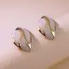 304 Stainless Steel Plastic Geometric Electroplating Imitation Gold Simple Style Commute Ear Studs