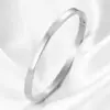 Wholesale Fashion Solid Color Titanium Steel Bangle
