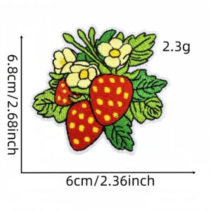 Strawberry cloth patch 7#