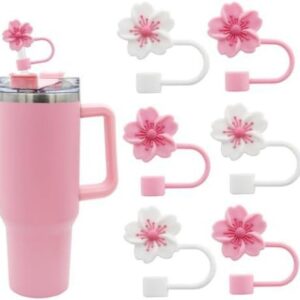 Single model one (style note)