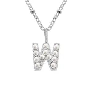 W-Stainless / Steel Color