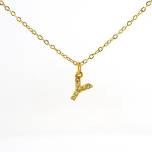 Y (Including Chain)