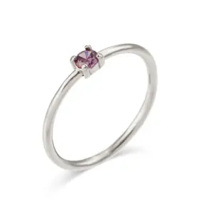 Ea544901s Steel Color / No. 8 / February Amethyst Zircon