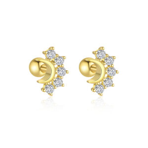 E4829-gold/pair / 925 silver