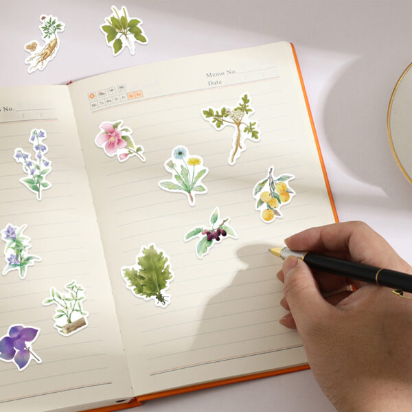 Wholesale 50 INS Chinese Medicine Plant Graffiti Stickers Decorative Guitar Notebook Luggage DIY Waterproof Cross-border