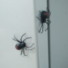 Wholesale Cross-Border New Product Spider Magnetic Fridge Sticker Black Widow Spider Magnet Refrigerator Magnet