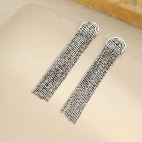 Wholesale Elegant Long Tassel Titanium Steel Earrings Women's Exaggerated Fashion Jewelry Non-fading Holiday Party Date Shopping